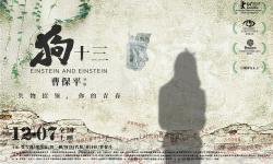 Featured image of post 《狗十三》影评