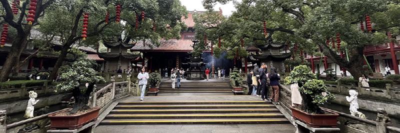 Featured image of post 人类擅长培养异己力量