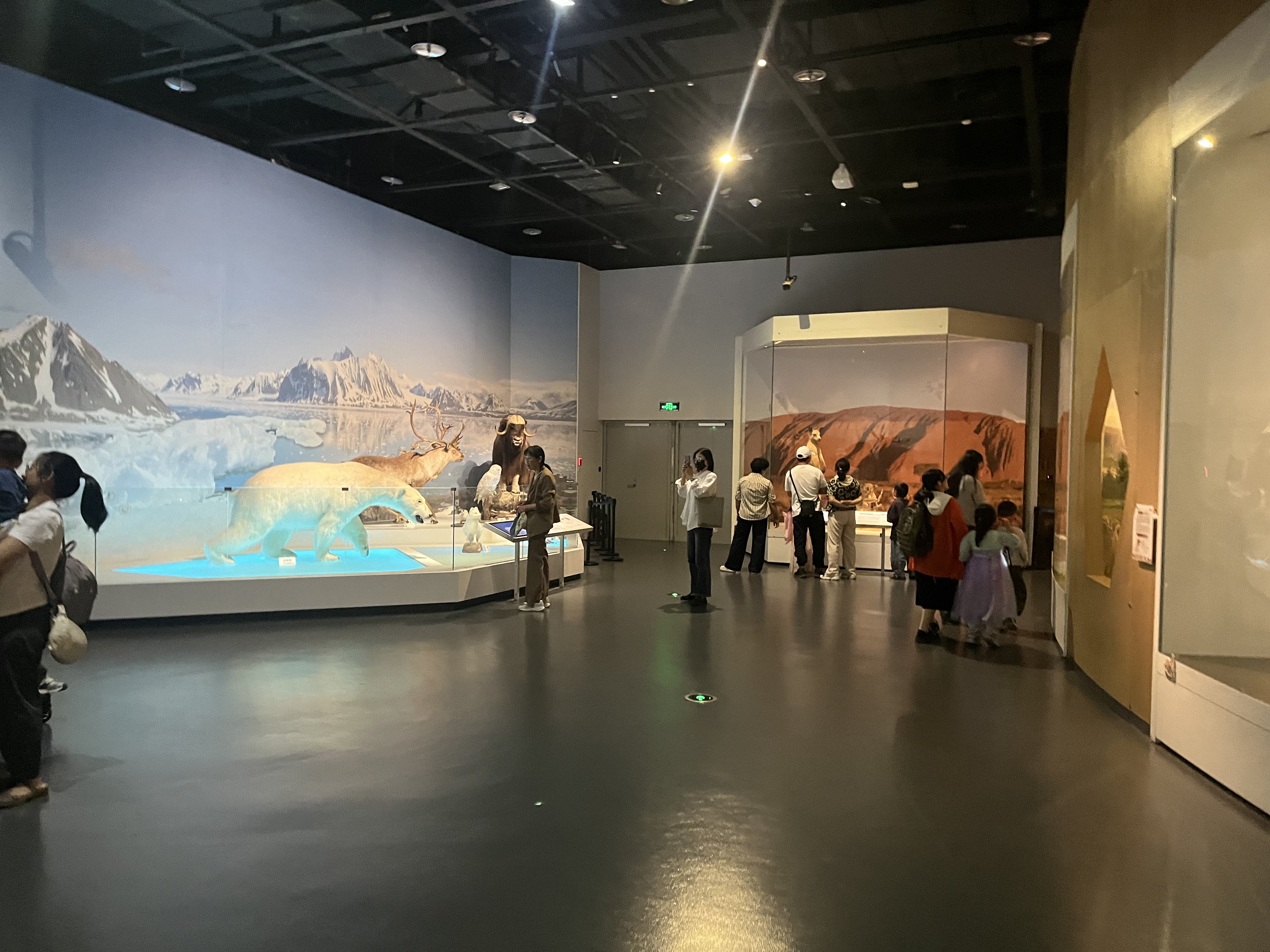 《人与自然——贝林捐赠展》