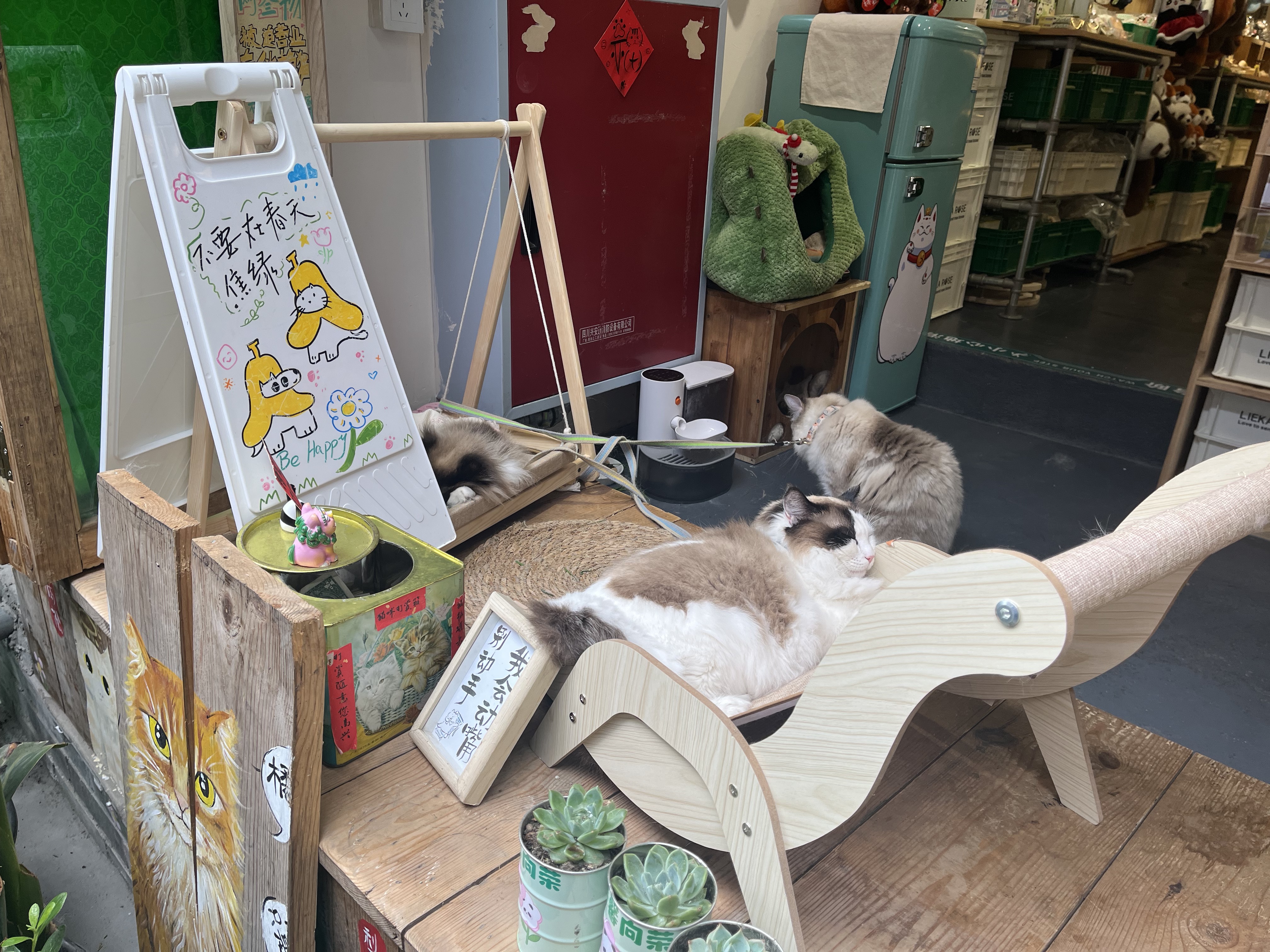 小猫咪