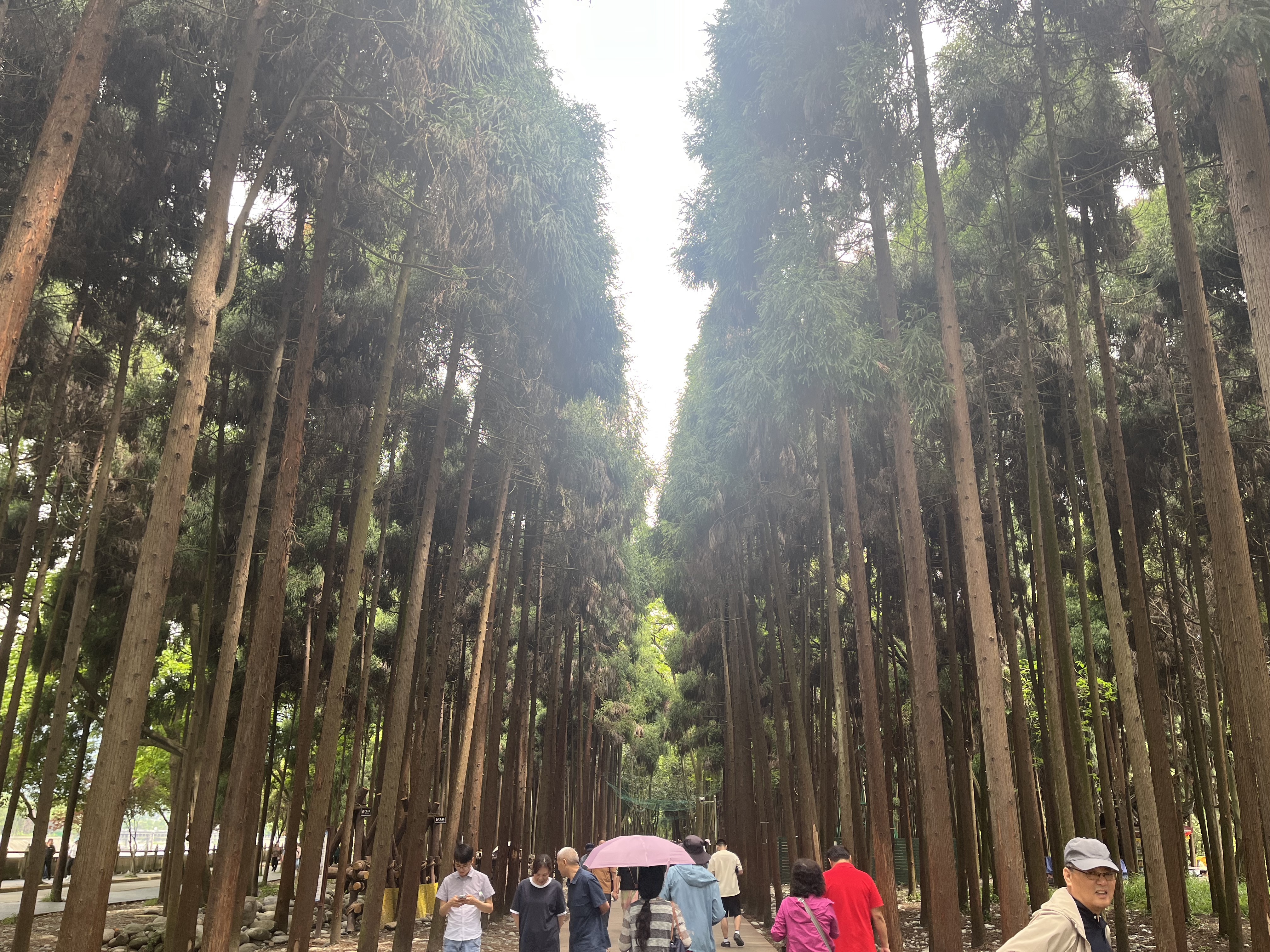 鱼嘴游步道