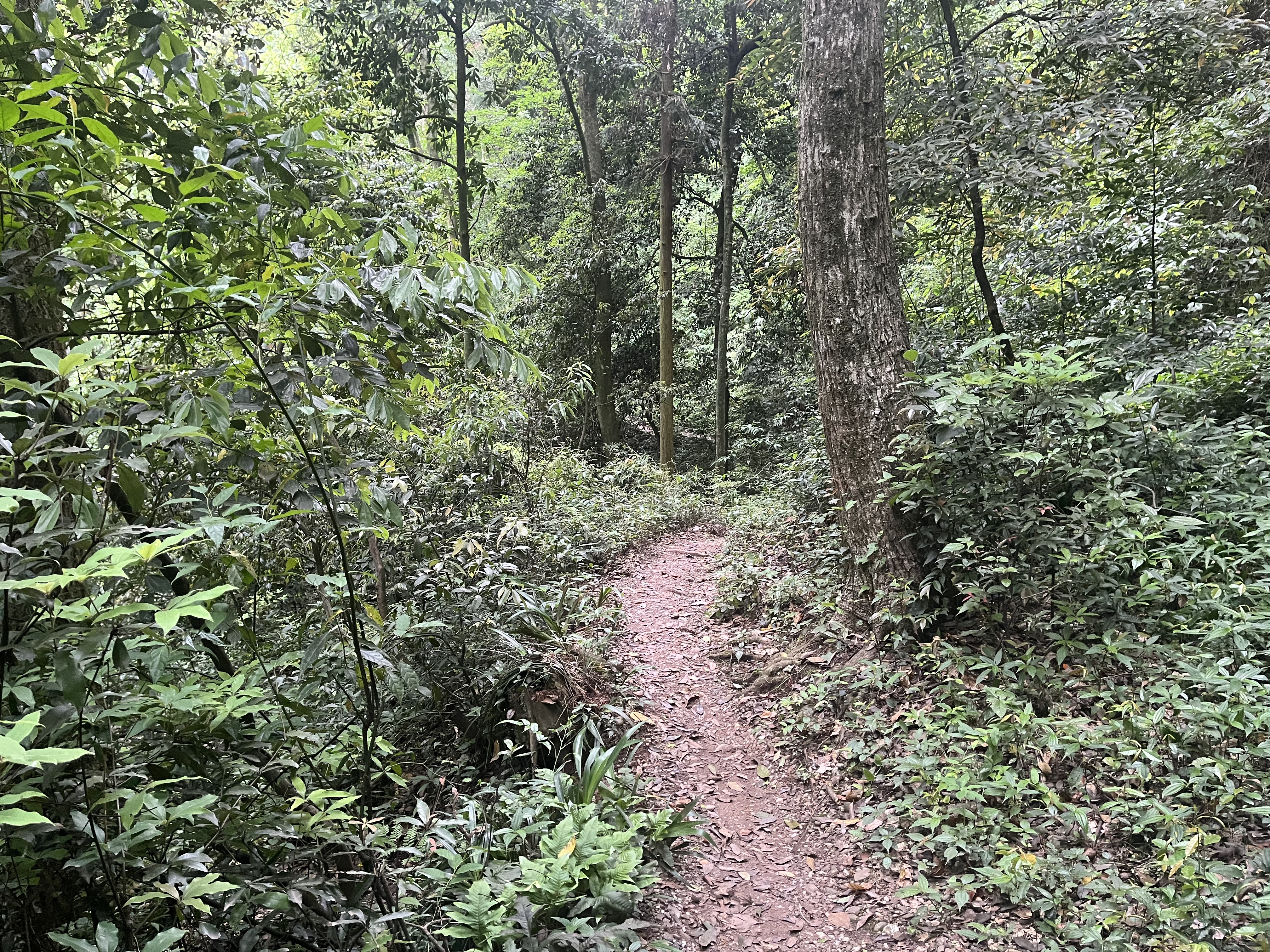 野路起点