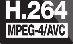 Featured image of post x264 标清压制指南