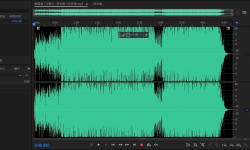 Featured image of post 黑胶翻录后期处理指南